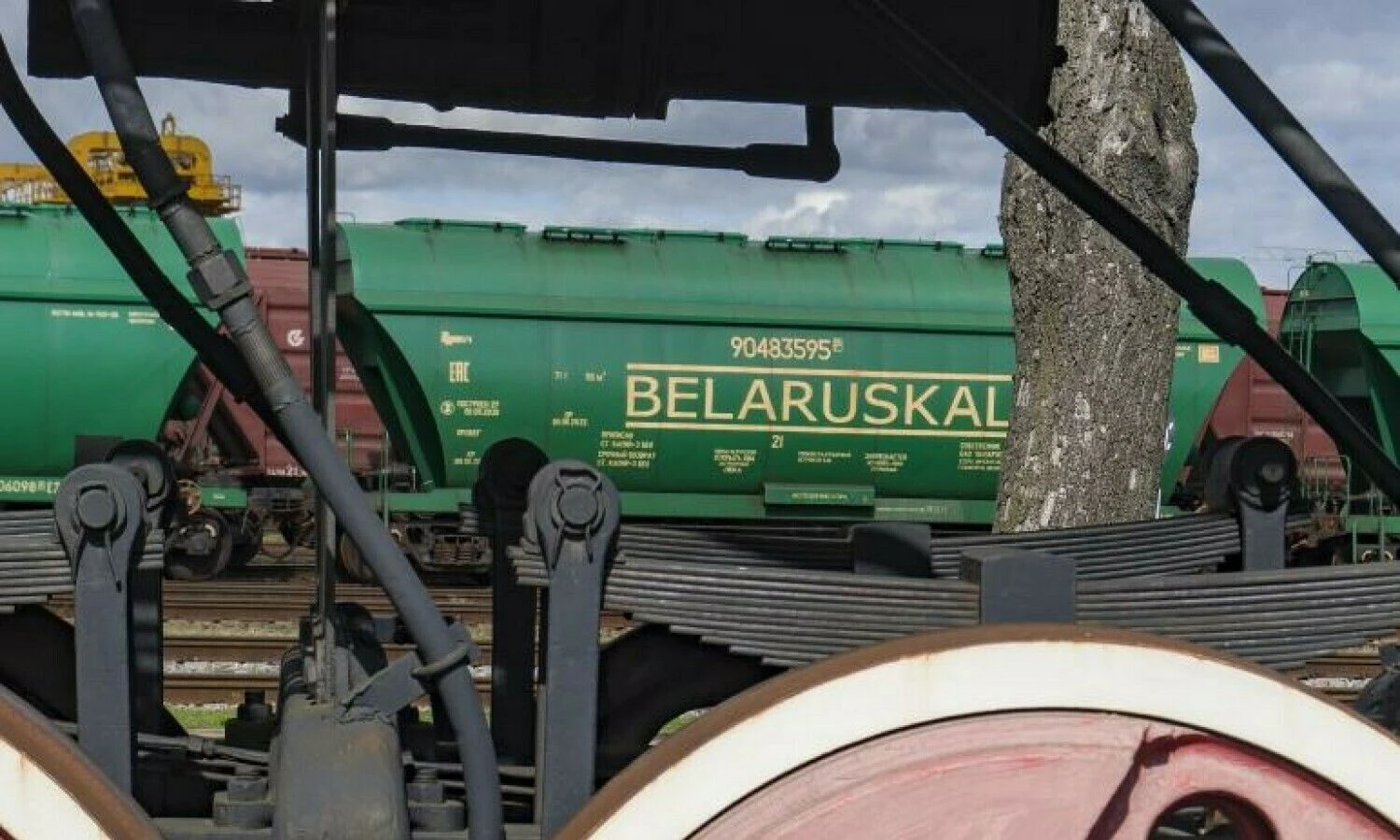 Algimanto Kalvaičio nuotr.