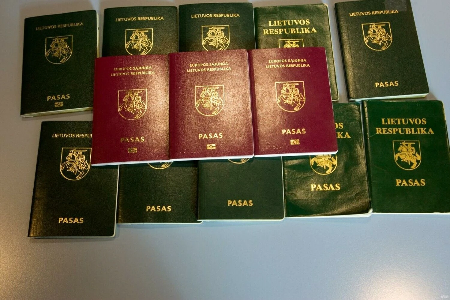 Vladimiro Ivanovo (VŽ) nuotr.