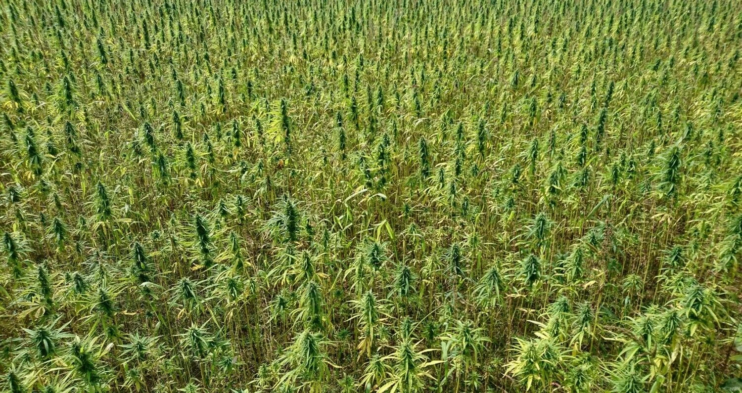 Lino Butkaus (VŽ) nuotr.