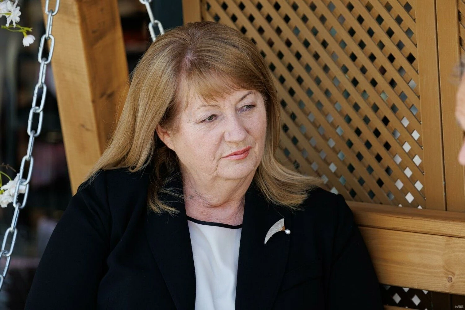 Vilija Blinkevičiūtė, politikė. Vladimiro Ivanovo (VŽ) nuotr.