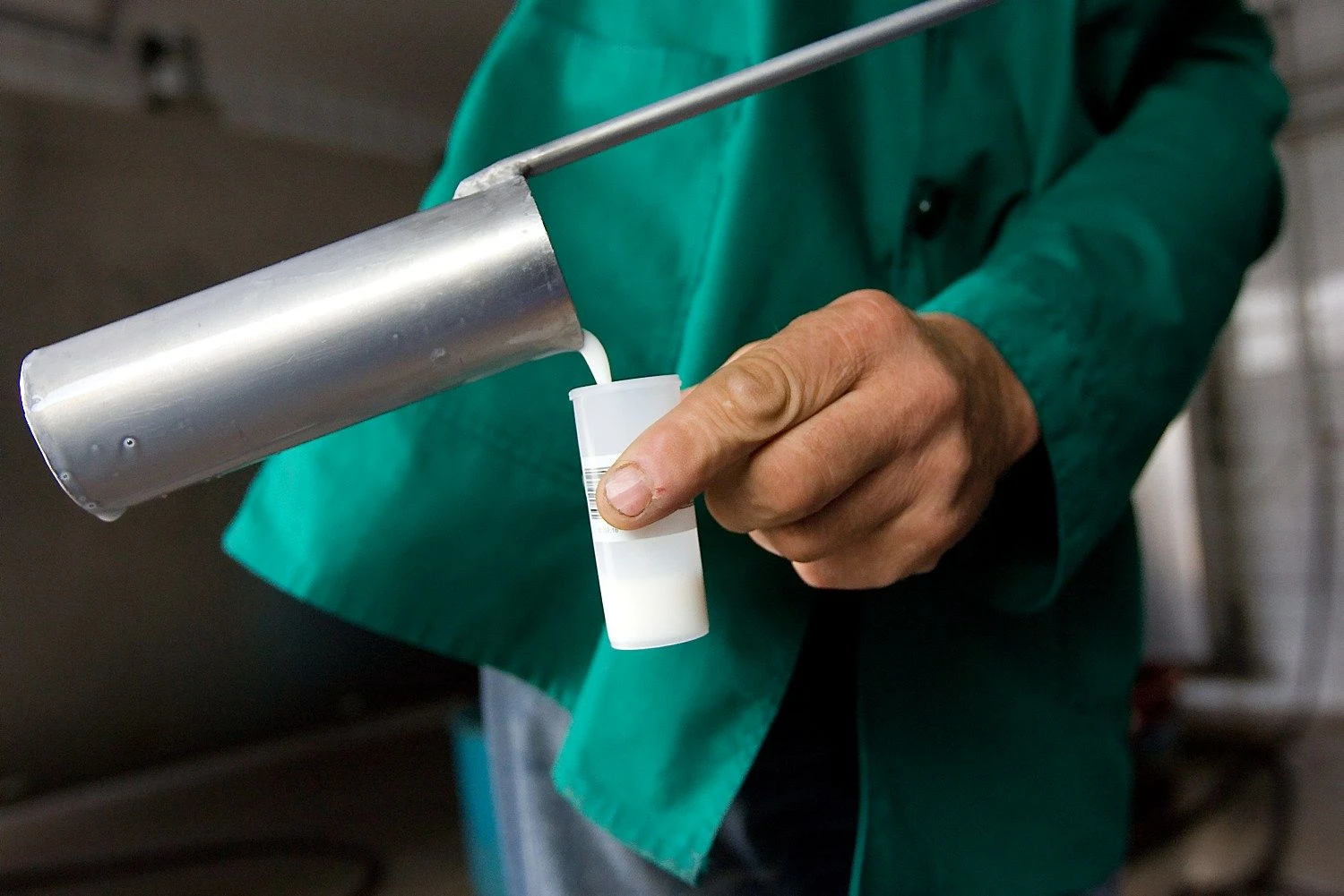 Juditos Grigelytės (VŽ) nuotr.