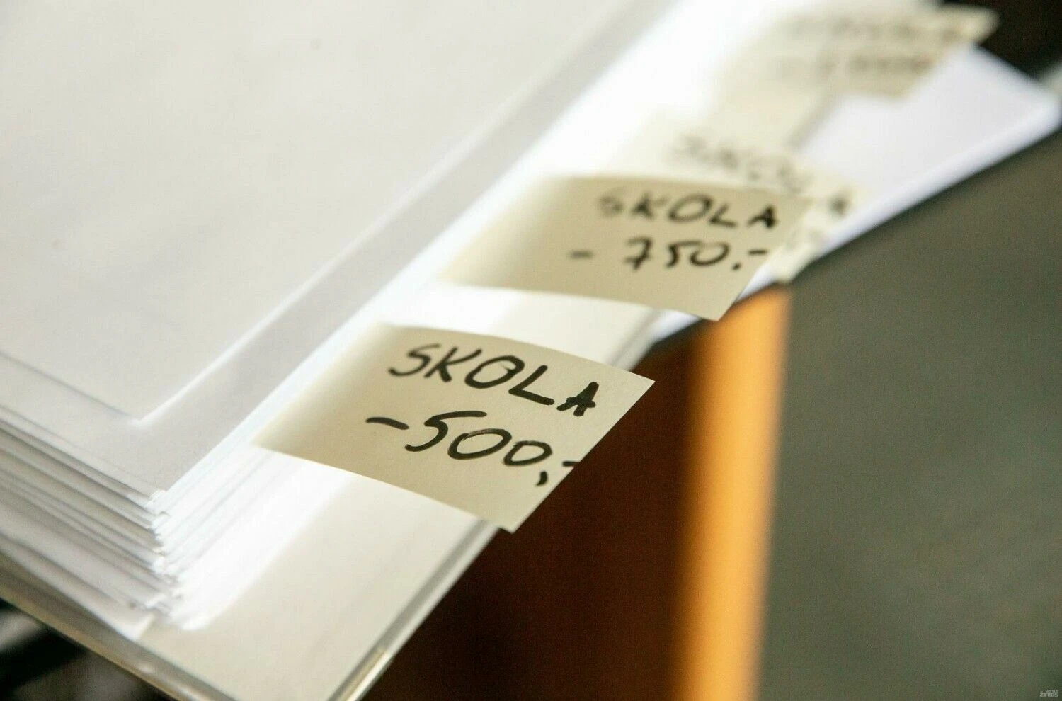 Juditos Grigelytės (VŽ) nuotr.