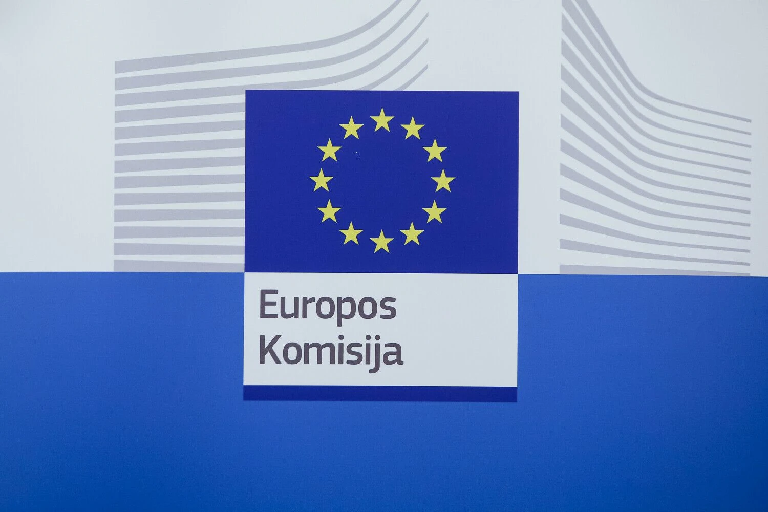 Vladimiro Ivanovo (VŽ) nuotr.