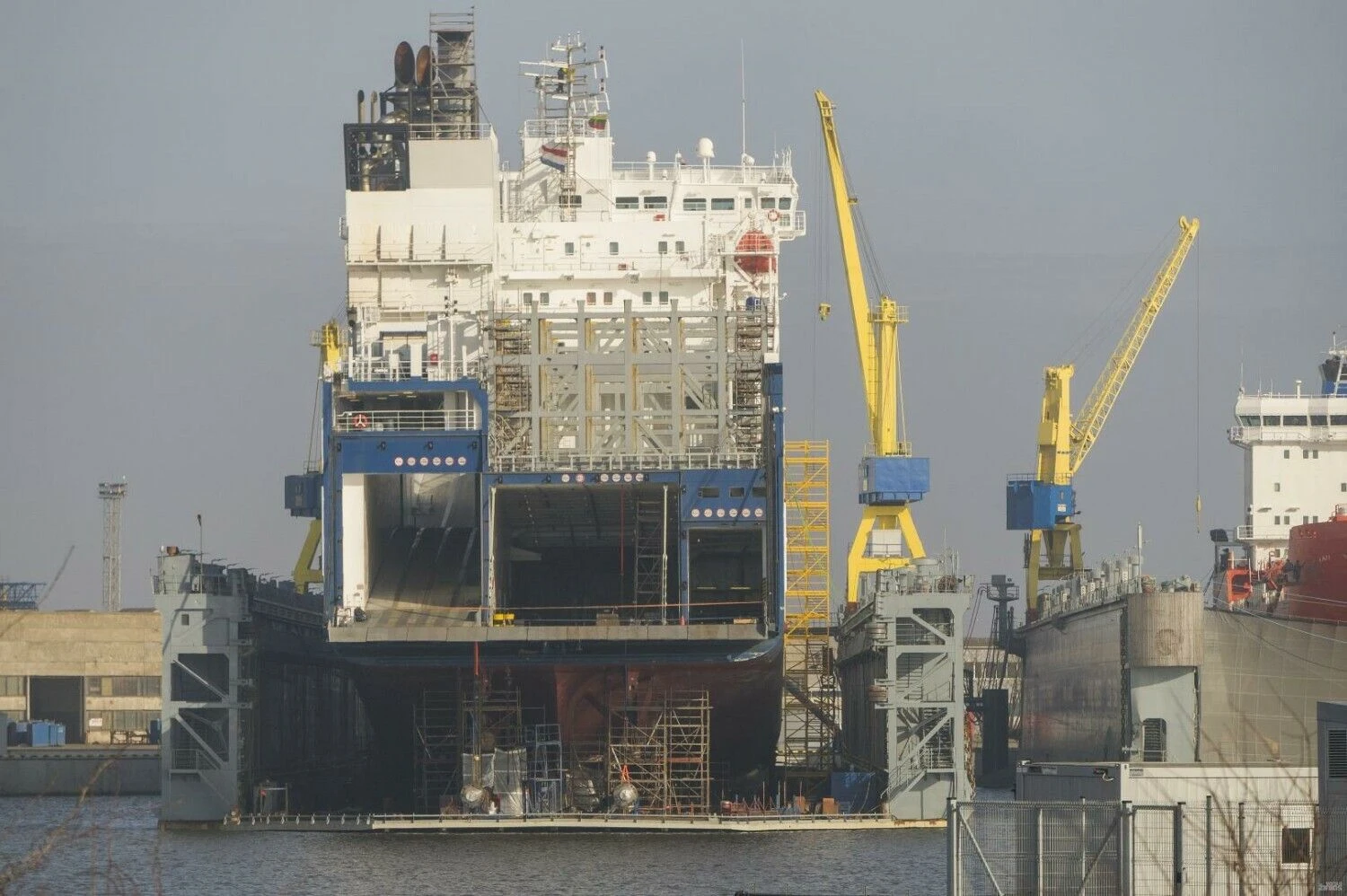 Algimanto Kalvaičio nuotr.