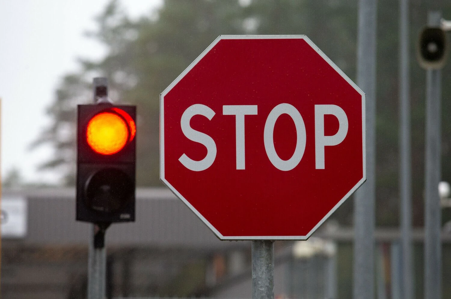 Juditos Grigelytės (VŽ) nuotr.