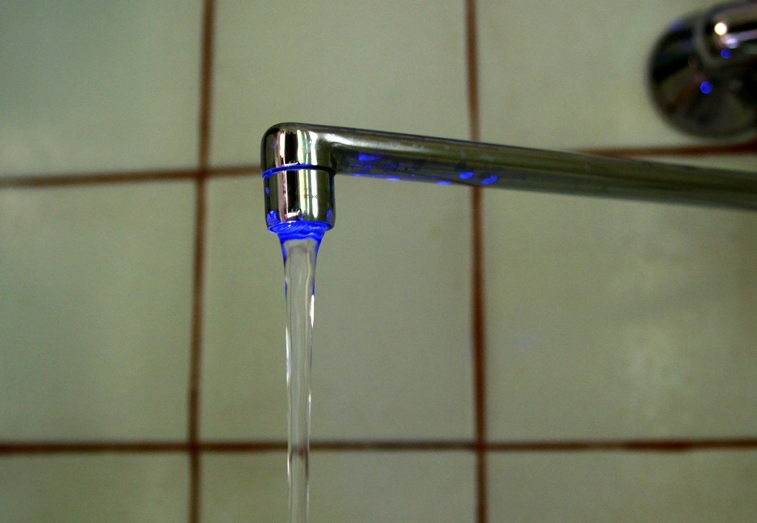 Violetos Bubelytės nuotr.