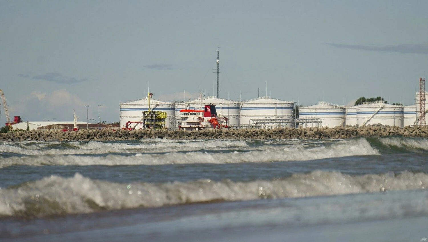 Algimanto Kalvaičio nuotr.