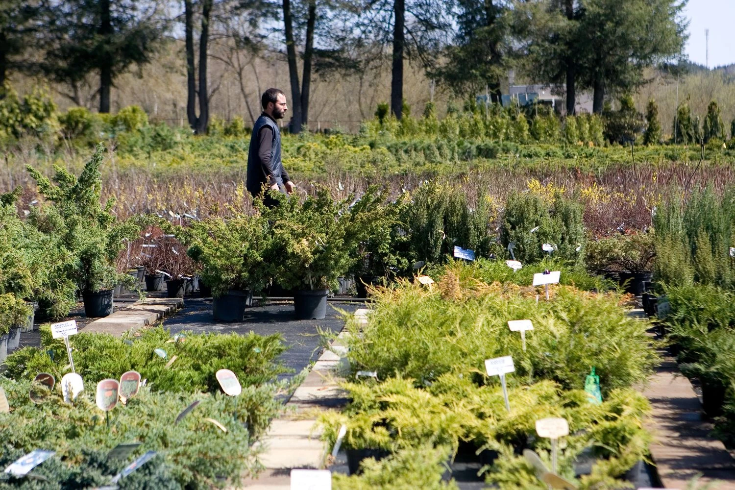 Juditos Grigelytės (VŽ) nuotr.