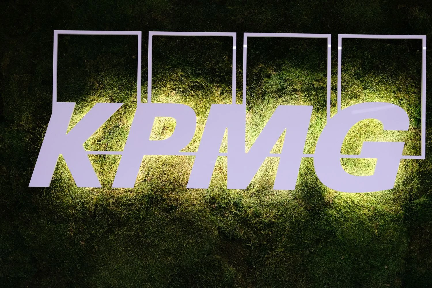 Vladimiro Ivanovo (VŽ) nuotr.