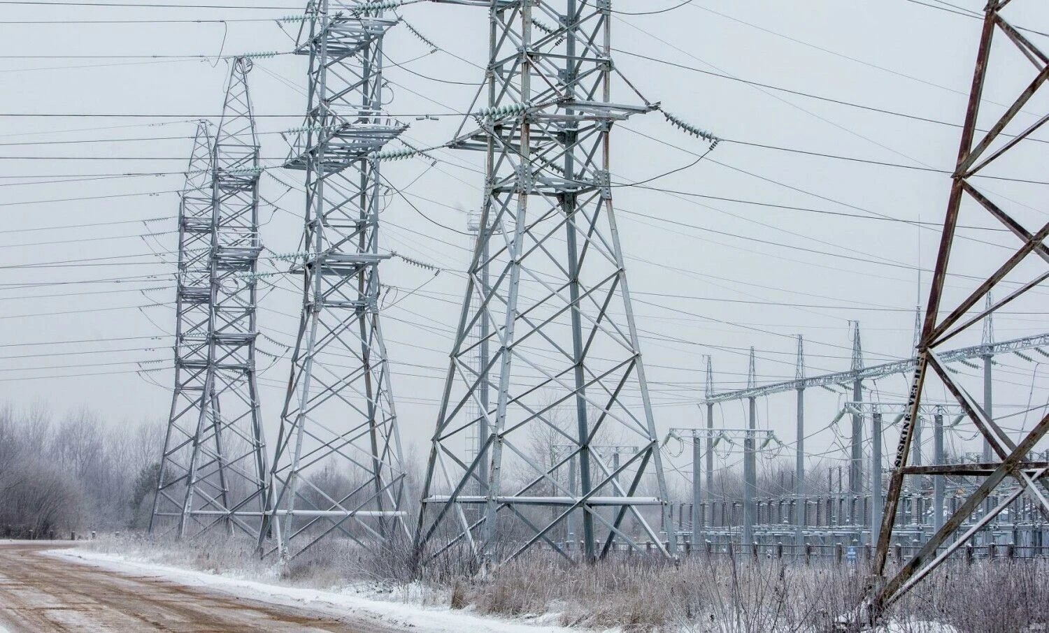 Juditos Grigelytės (VŽ) nuotr.