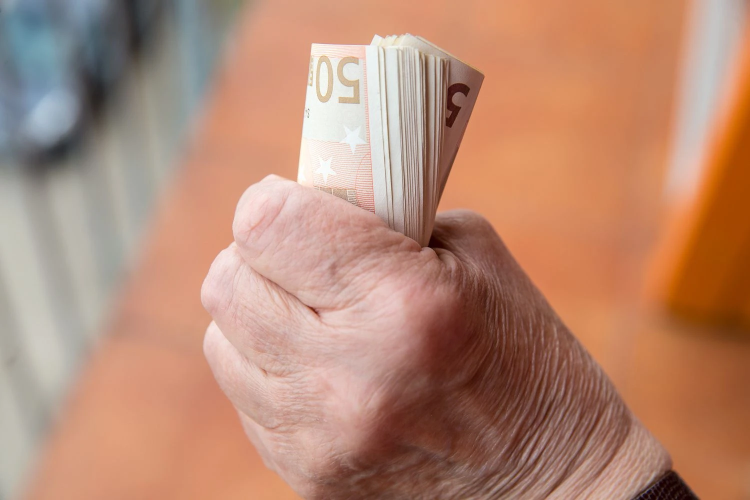 Vladimiro Ivanovo (VŽ) nuotr.