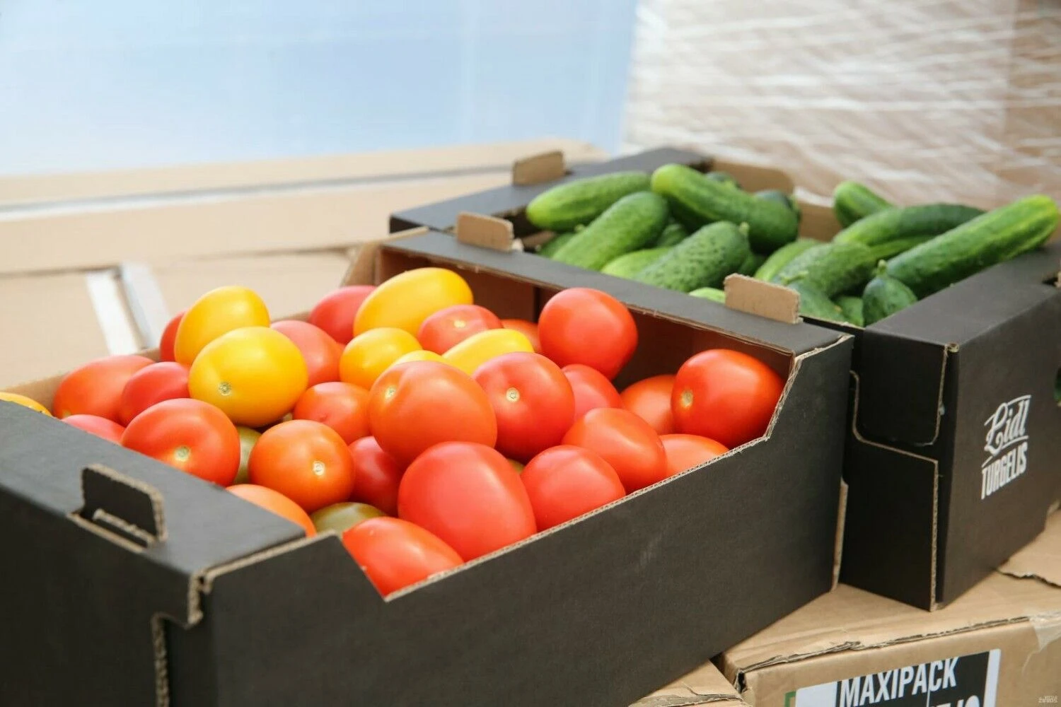 Vladimiro Ivanovo (VŽ) nuotr.