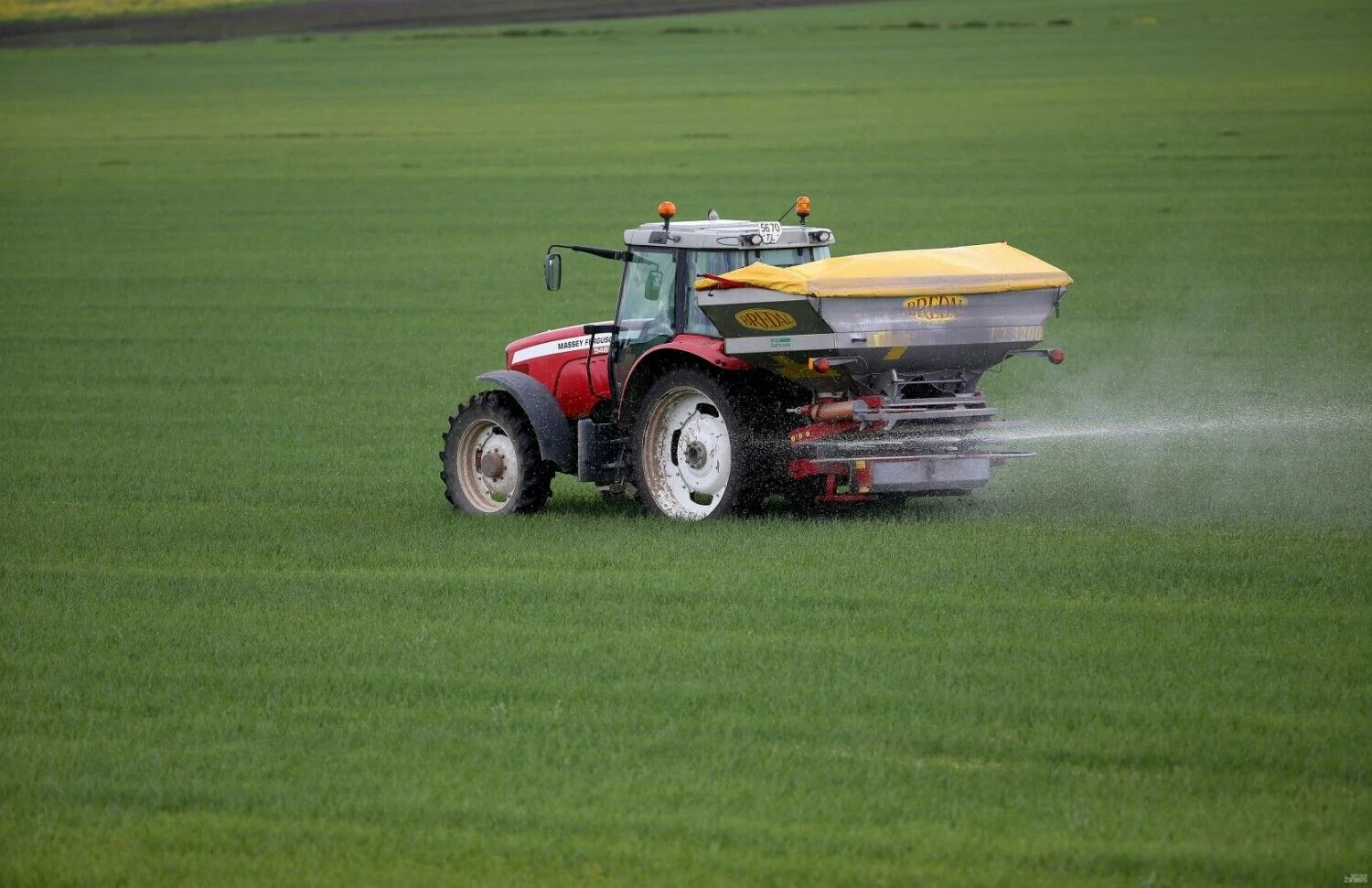 Algimanto Barzdžiaus nuotr.