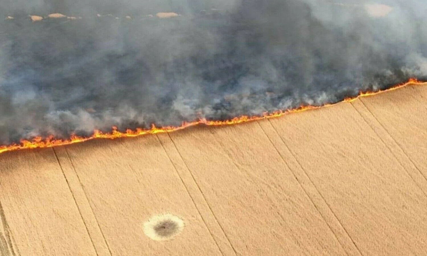 „Scanpix“ nuotr.