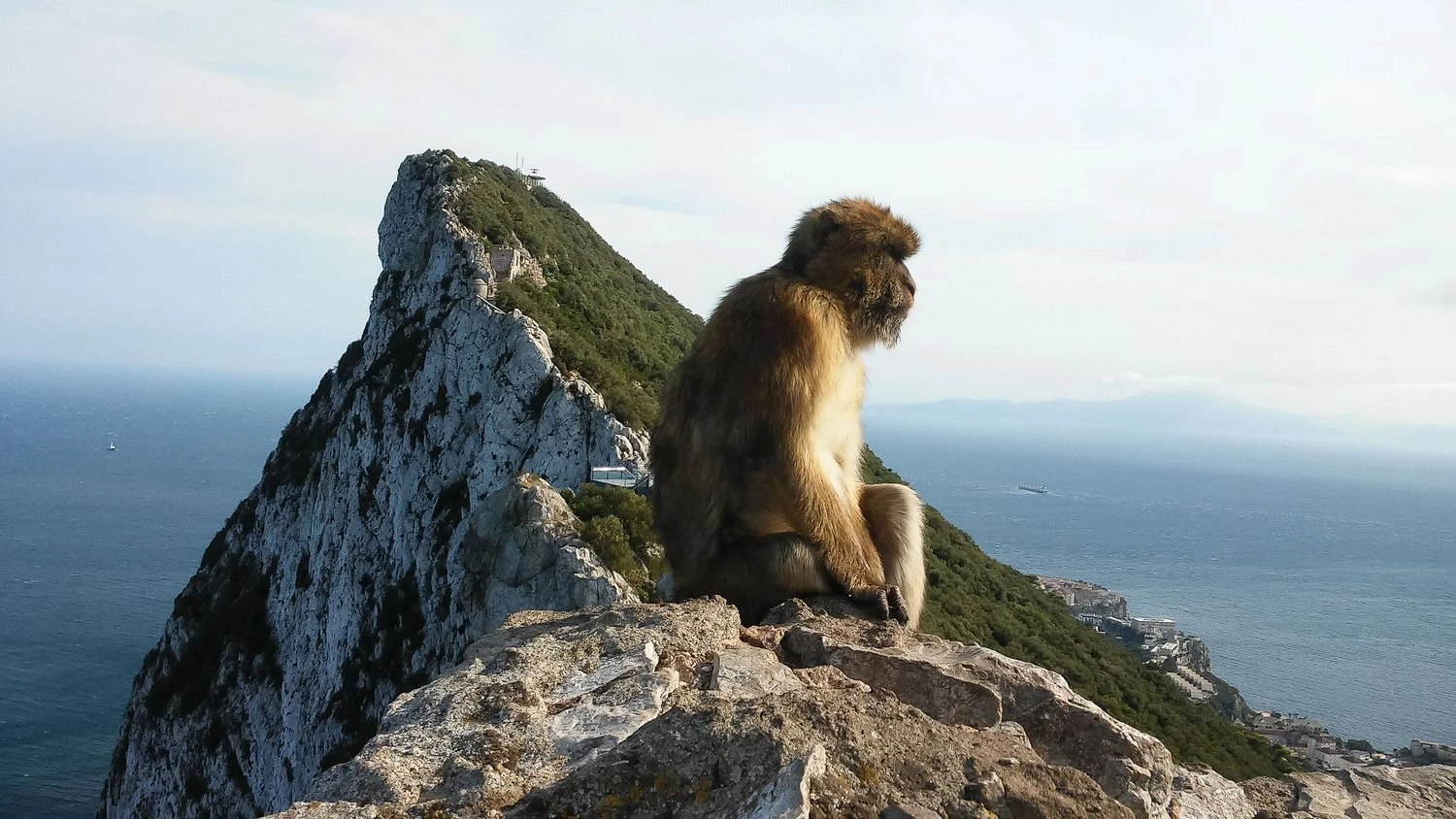 Vaizdas nuo Gibraltaro uolos viršaus. Pauliaus Čiulados (VŽ) nuotr.