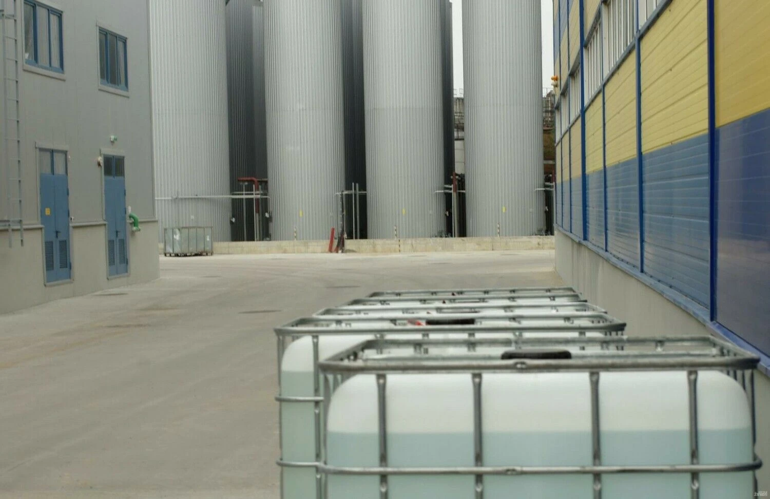 Algimanto Kalvaičio nuotr.