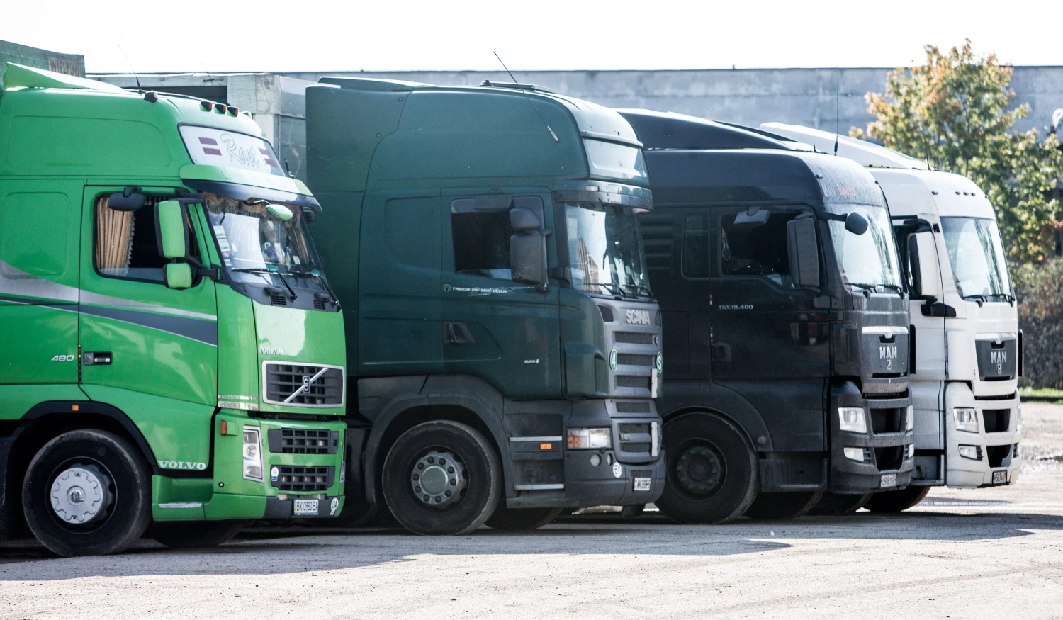 Juditos Grigelytės (VŽ) nuotr.