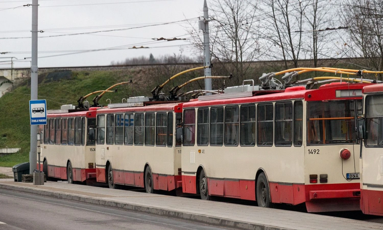 Juditos Grigelytės (VŽ) nuotr.