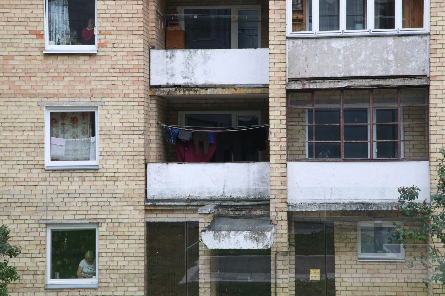 Vladimiro Ivanovo (VŽ) nuotr.