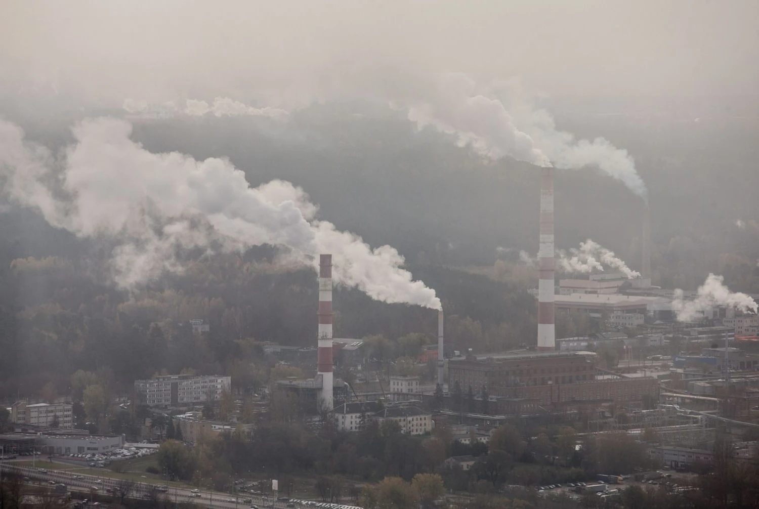 Joe Bideno sugrįžimas prie Paryžiaus susitarimo darbotvarkės suteiks impulsą ir Lietuvos klimato kaitos politikai.  Juditos Grigelytės (VŽ) nuotr.