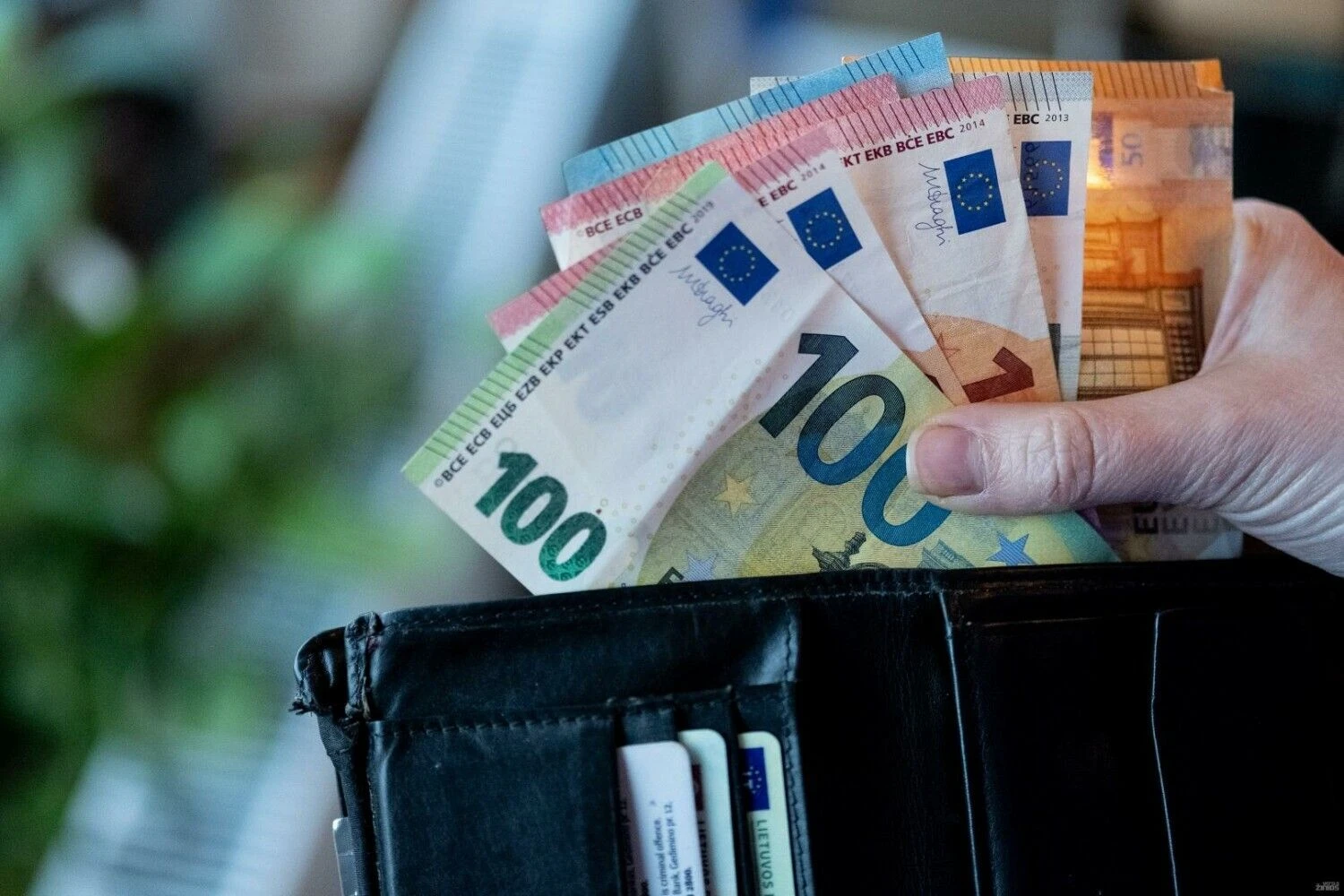 Vladimiro Ivanovo (VŽ) nuotr.