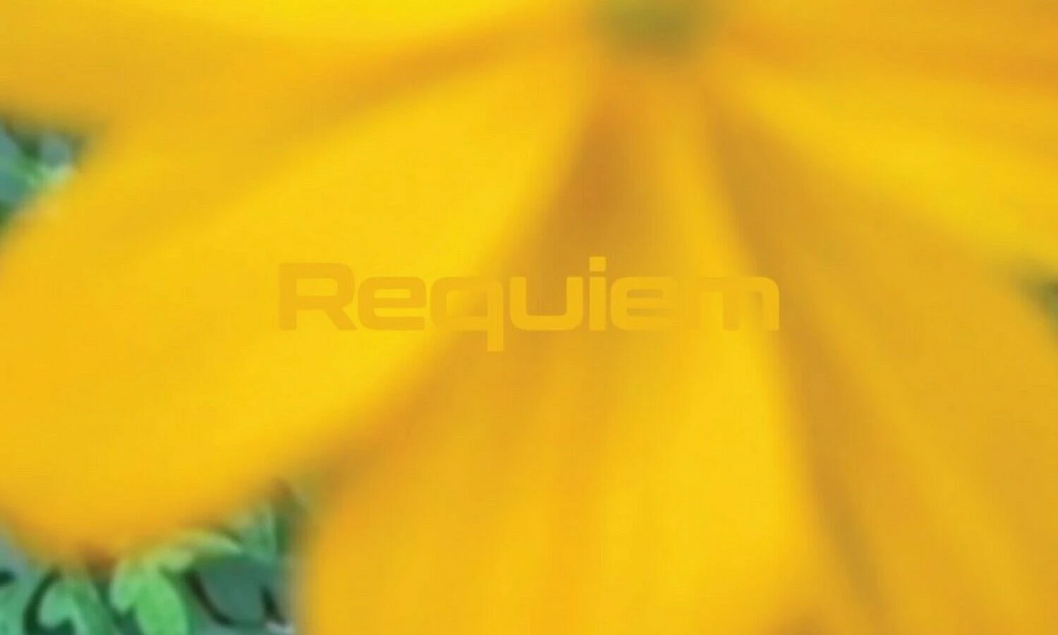 Jono Meko „Requiem“ įvaizdinis kadras.