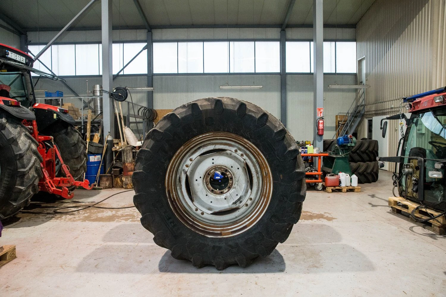 Juditos Grigelytės (VŽ) nuotr.