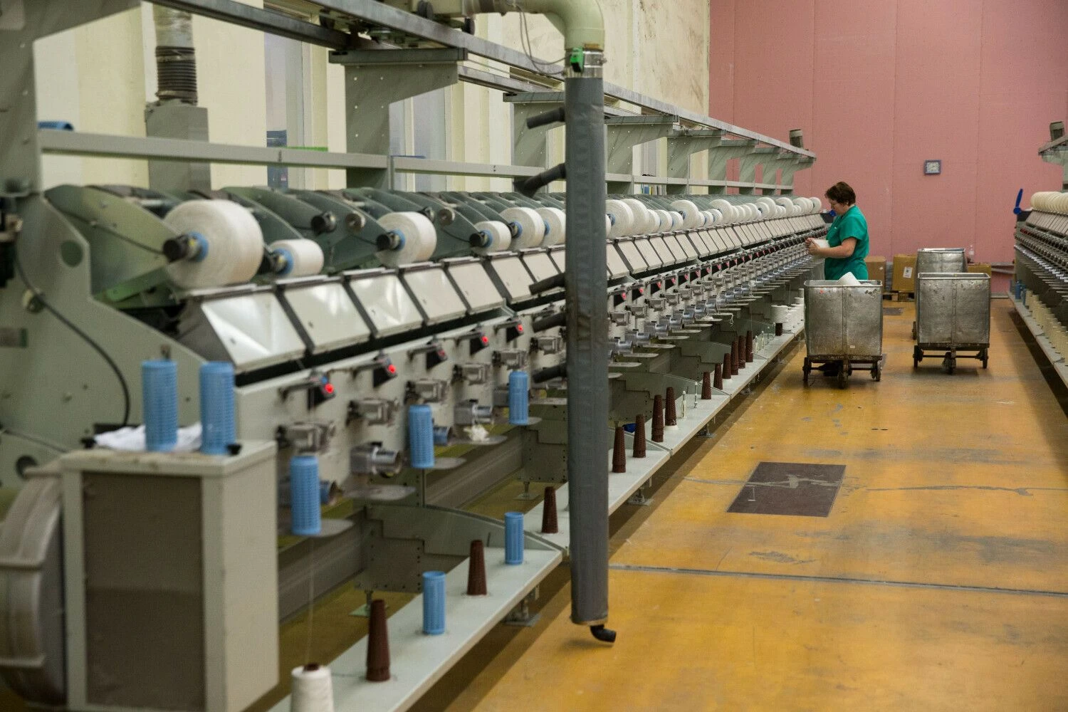 Vladimiro Ivanovo (VŽ) nuotr.