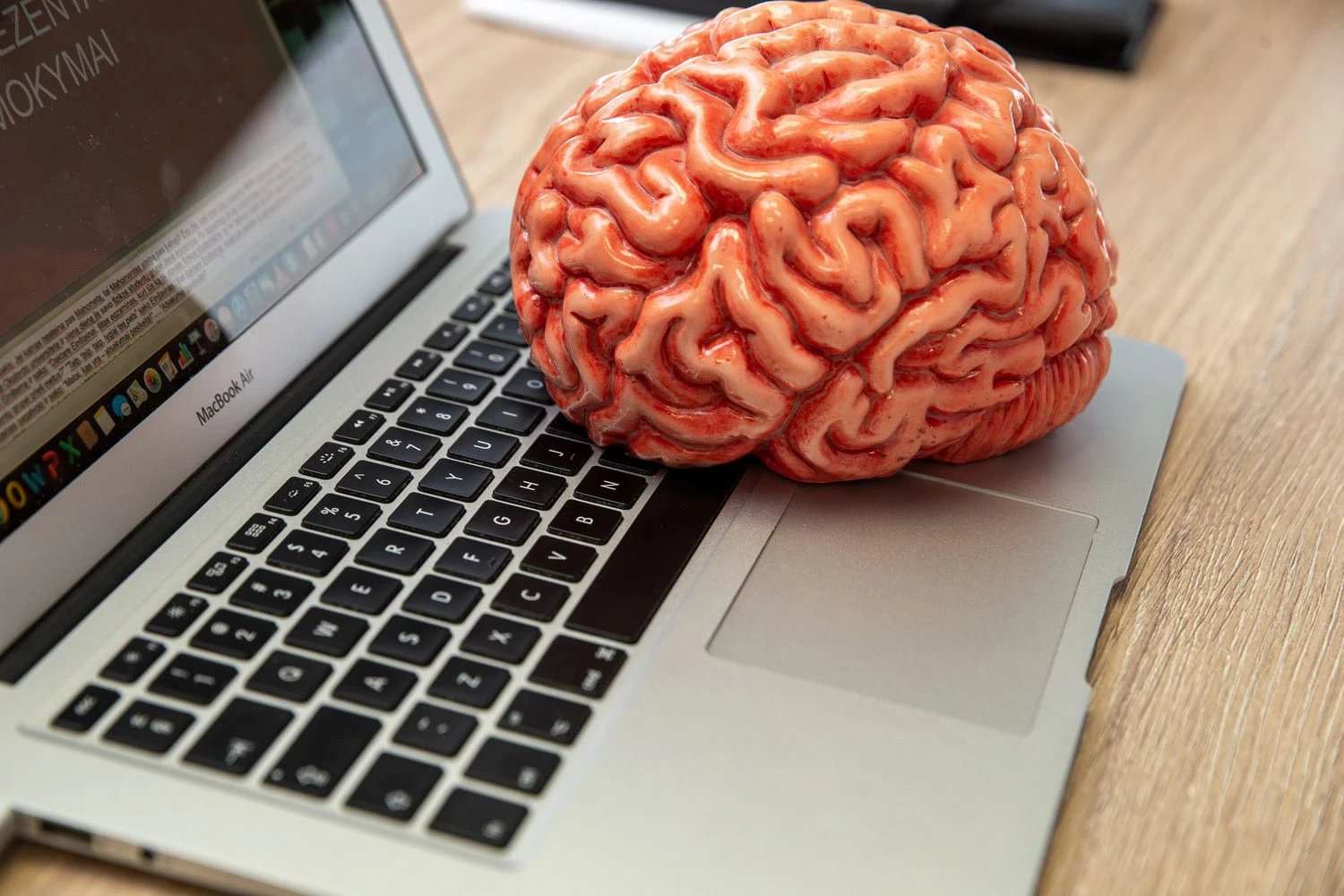 Vladimiro Ivanovo (VŽ) nuotr.