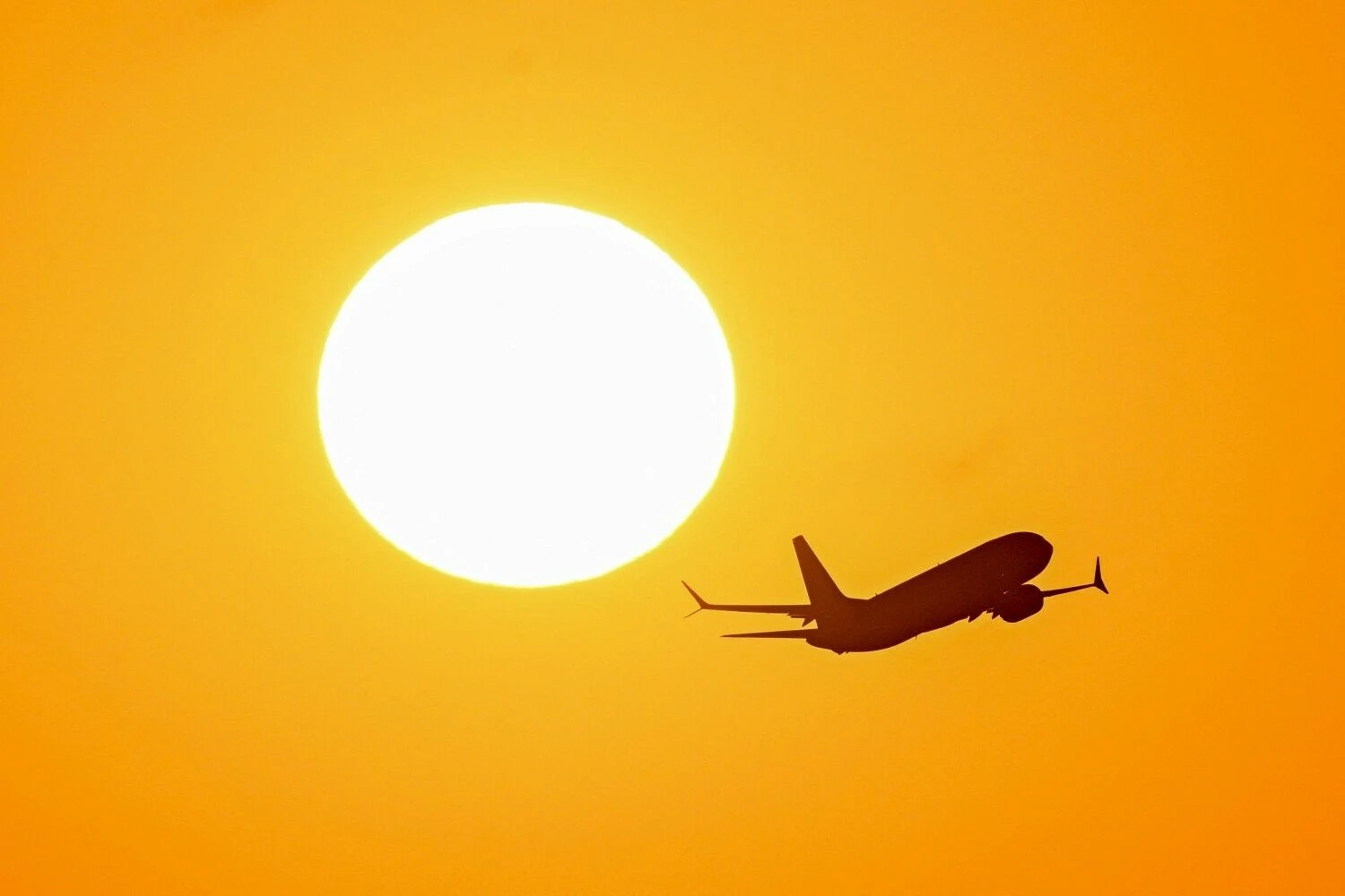 Luiso Robayo (AFP / „Scanpix“) nuotr.