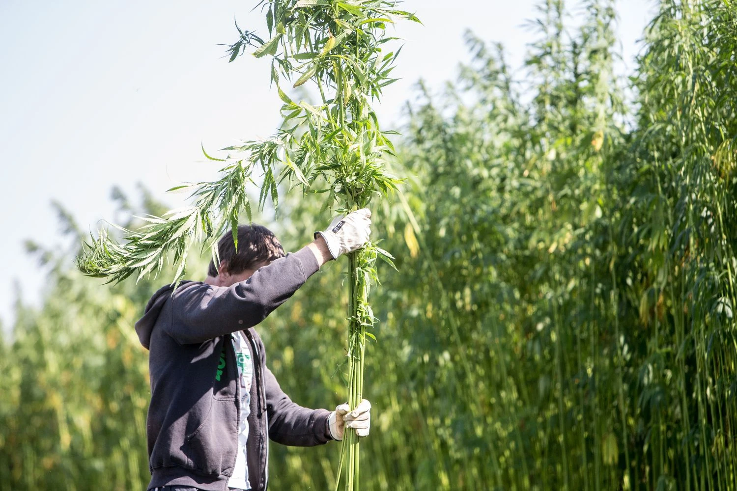 Juditos Grigelytės (VŽ) nuotr.