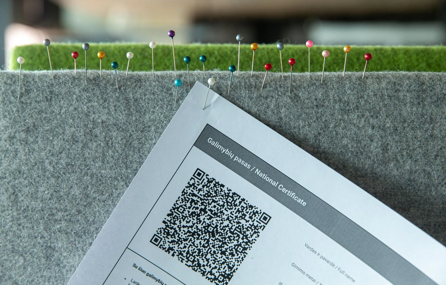 Galimybių pasas. Juditos Grigelytės (VŽ) nuotr.