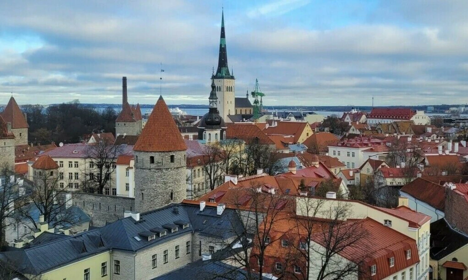 Liucijos Zubrutės (VŽ) nuotr.