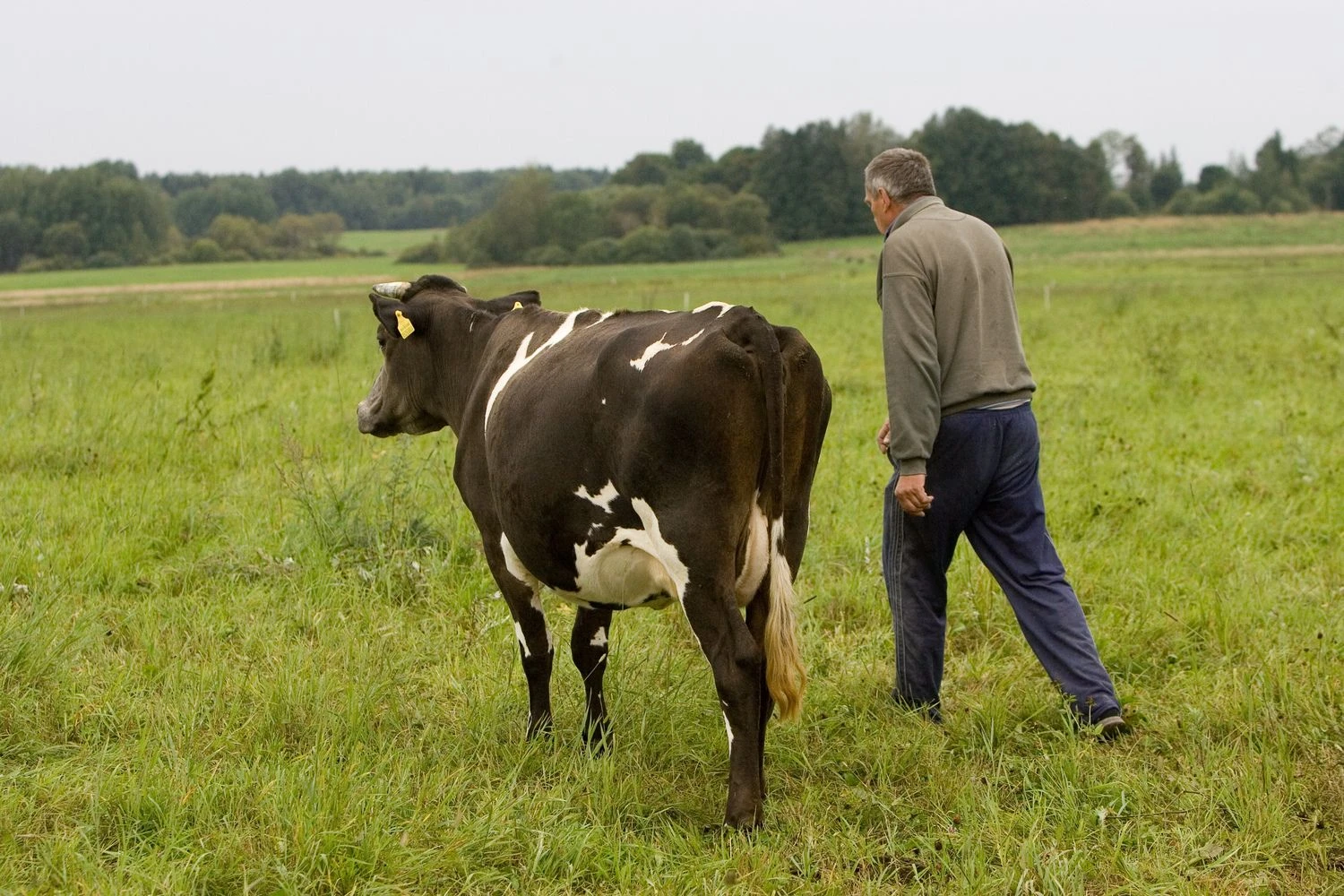Juditos Grigelytės (VŽ) nuotr.