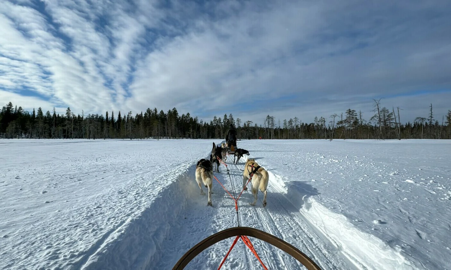 Užpoliarėje. Aušros Barysienės nuotr.