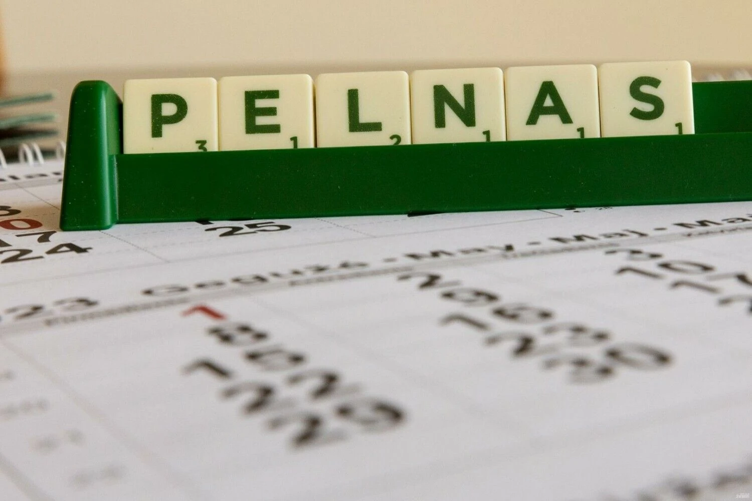 Vladimiro Ivanovo (VŽ) nuotr.