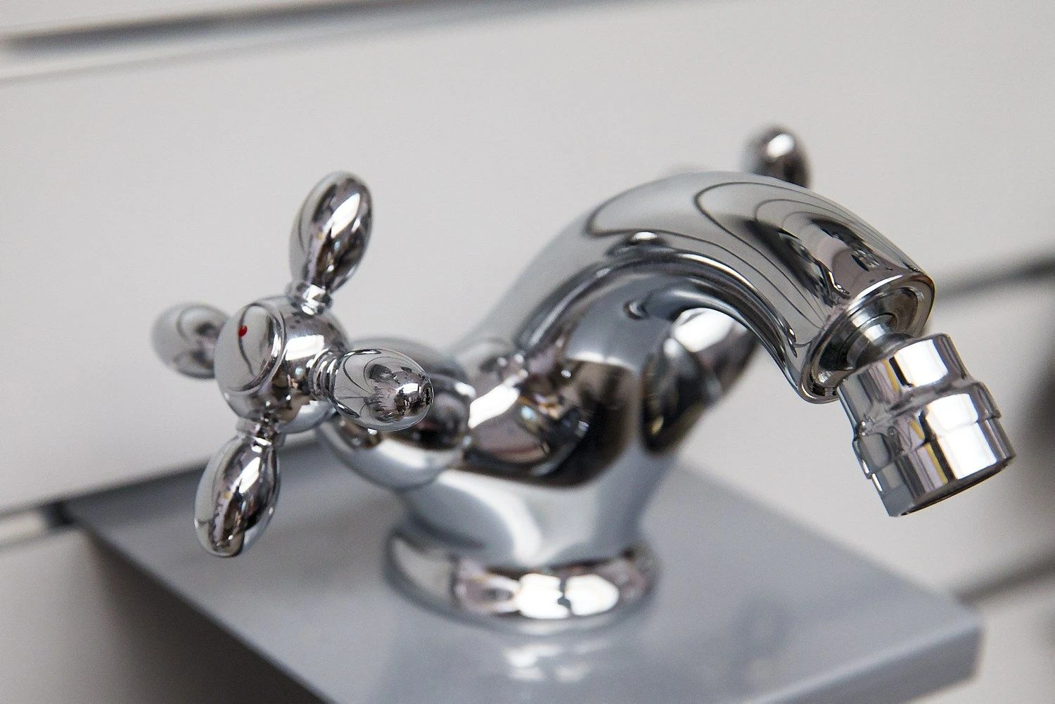 Vladimiro Ivanovo (VŽ) nuotr.