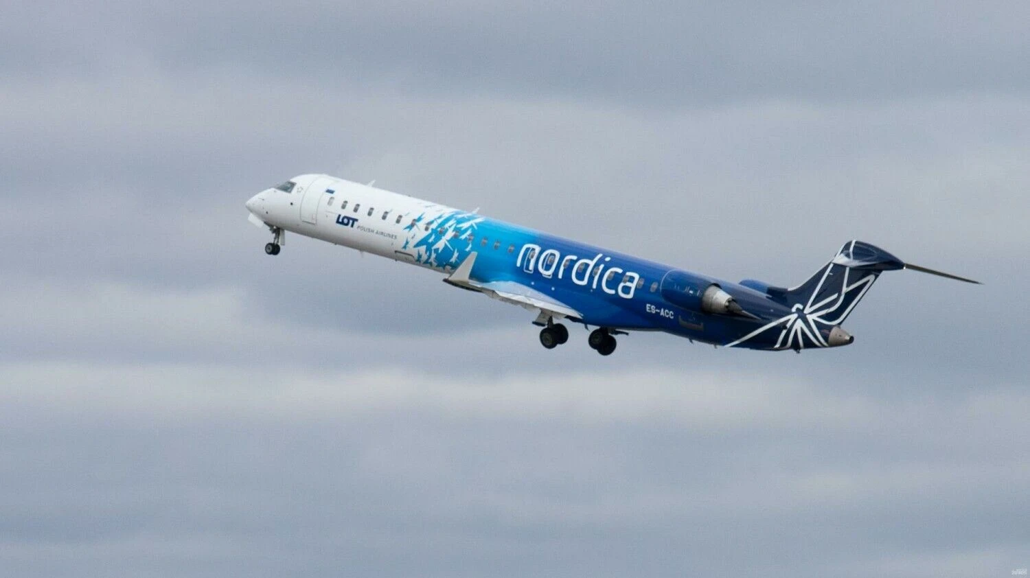 Juditos Grigelytės (VŽ) nuotr.