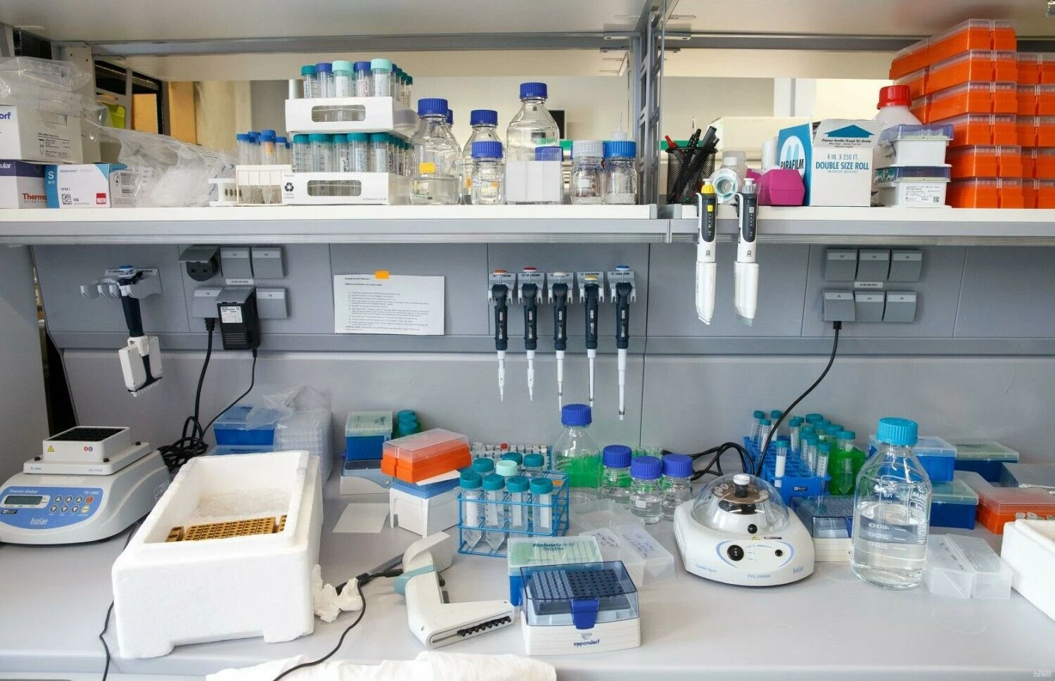 Juditos Grigelytės (VŽ) nuotr.