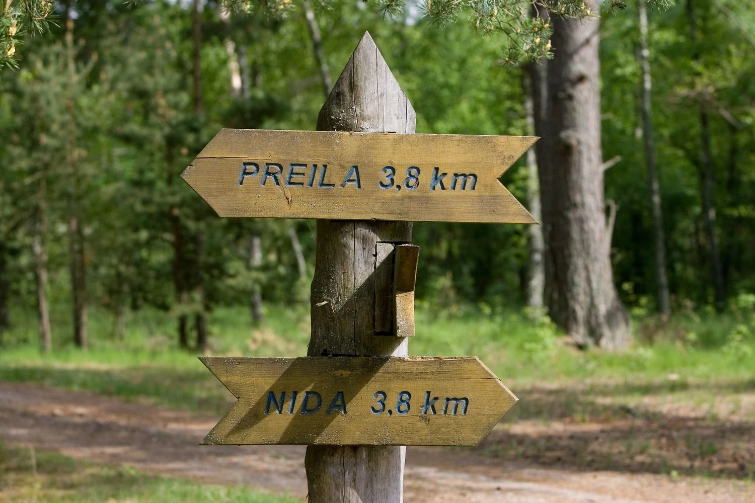 Kuršių nerija. Juditos Grigelytės (VŽ) nuotr.