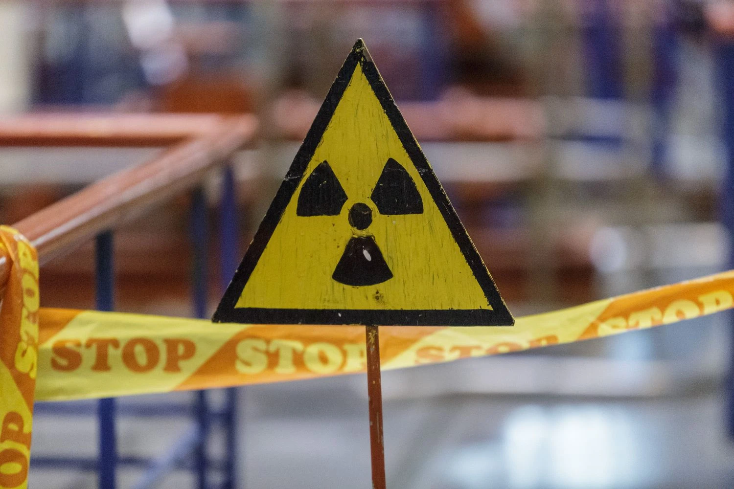 Vladimiro Ivanovo (VŽ) nuotr.