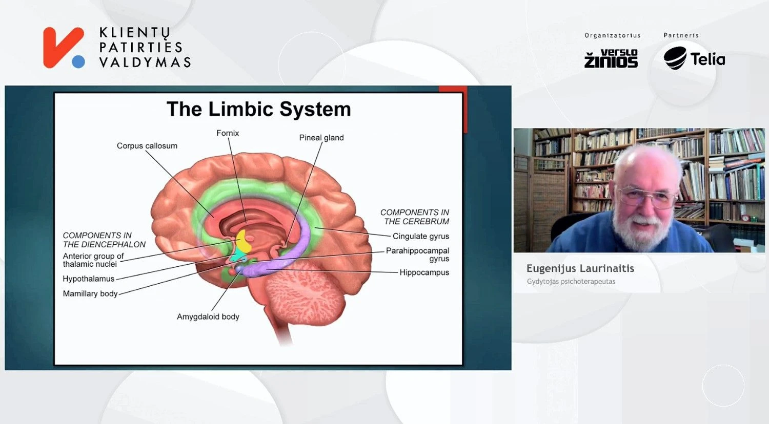 E. Laurinaičio pranešimas VŽ konferencijoje.