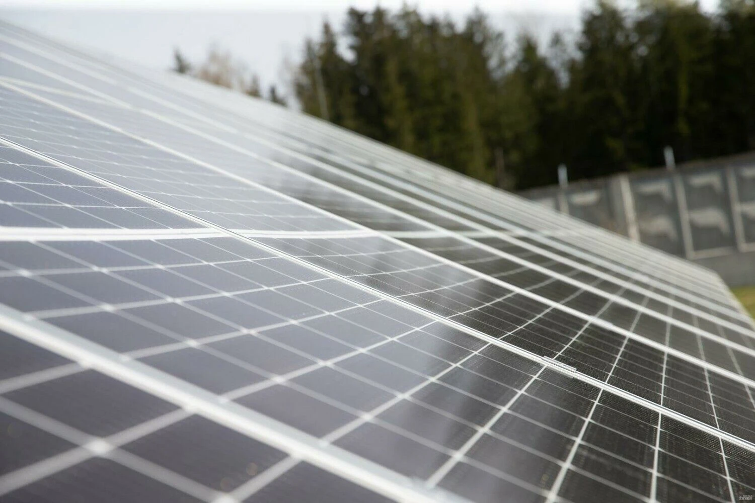 Juditos Grigelytės (VŽ) nuotr.