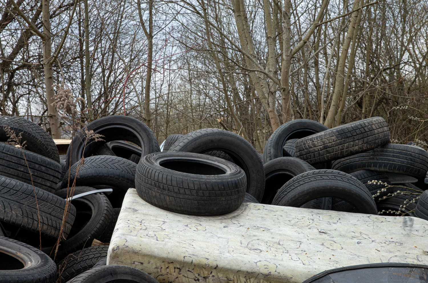 Juditos Grigelytės (VŽ) nuotr.