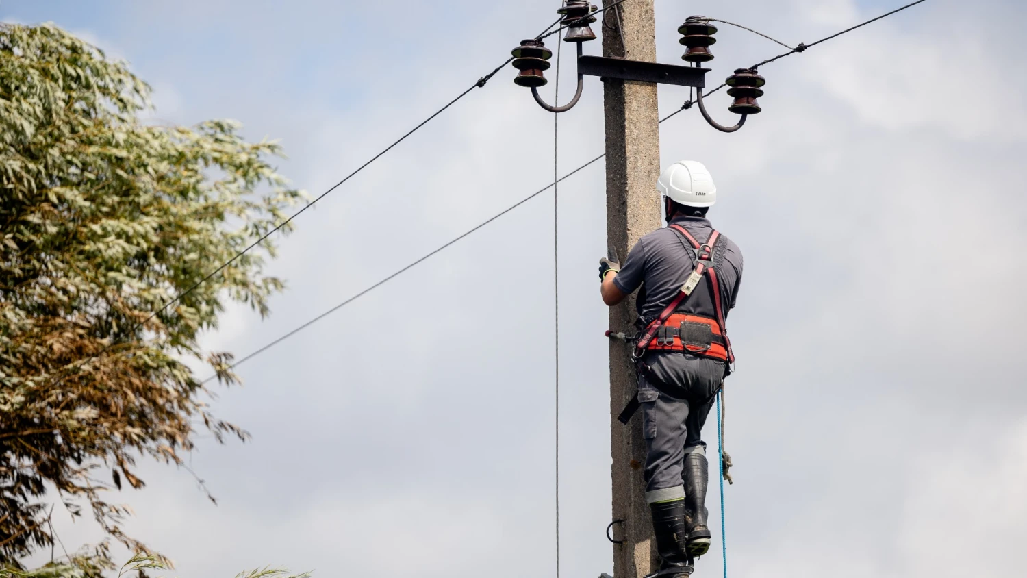 Luko Balandžio (BNS) nuotr.