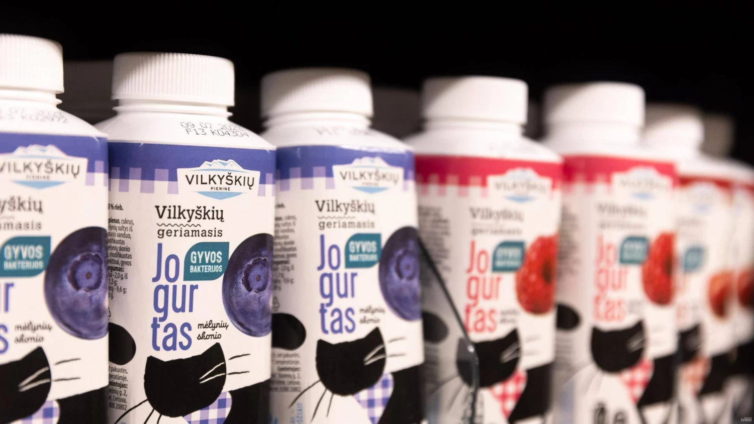 Juditos Grigelytės (VŽ) nuotr.