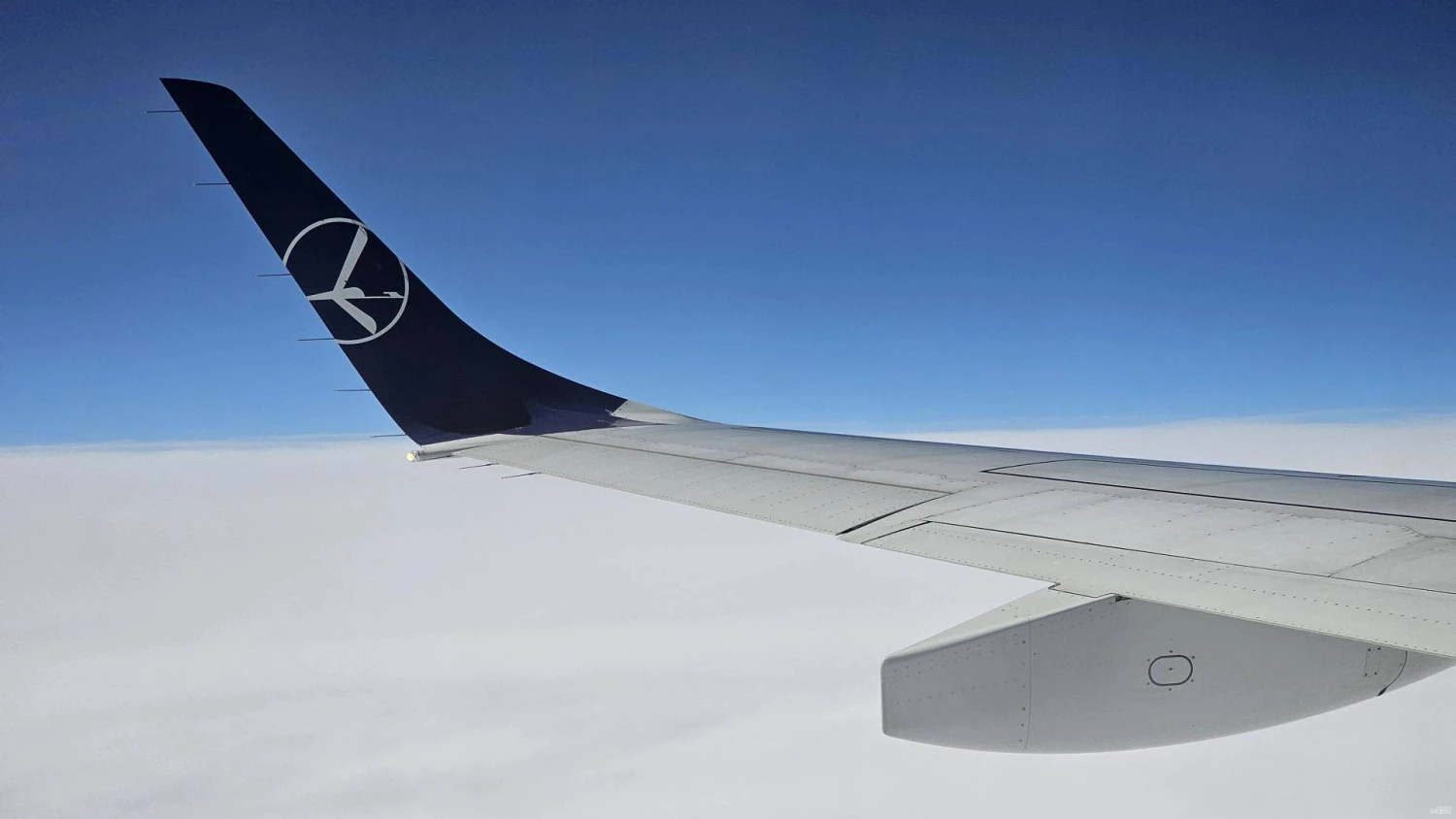 Lino Butkaus (VŽ) nuotr.