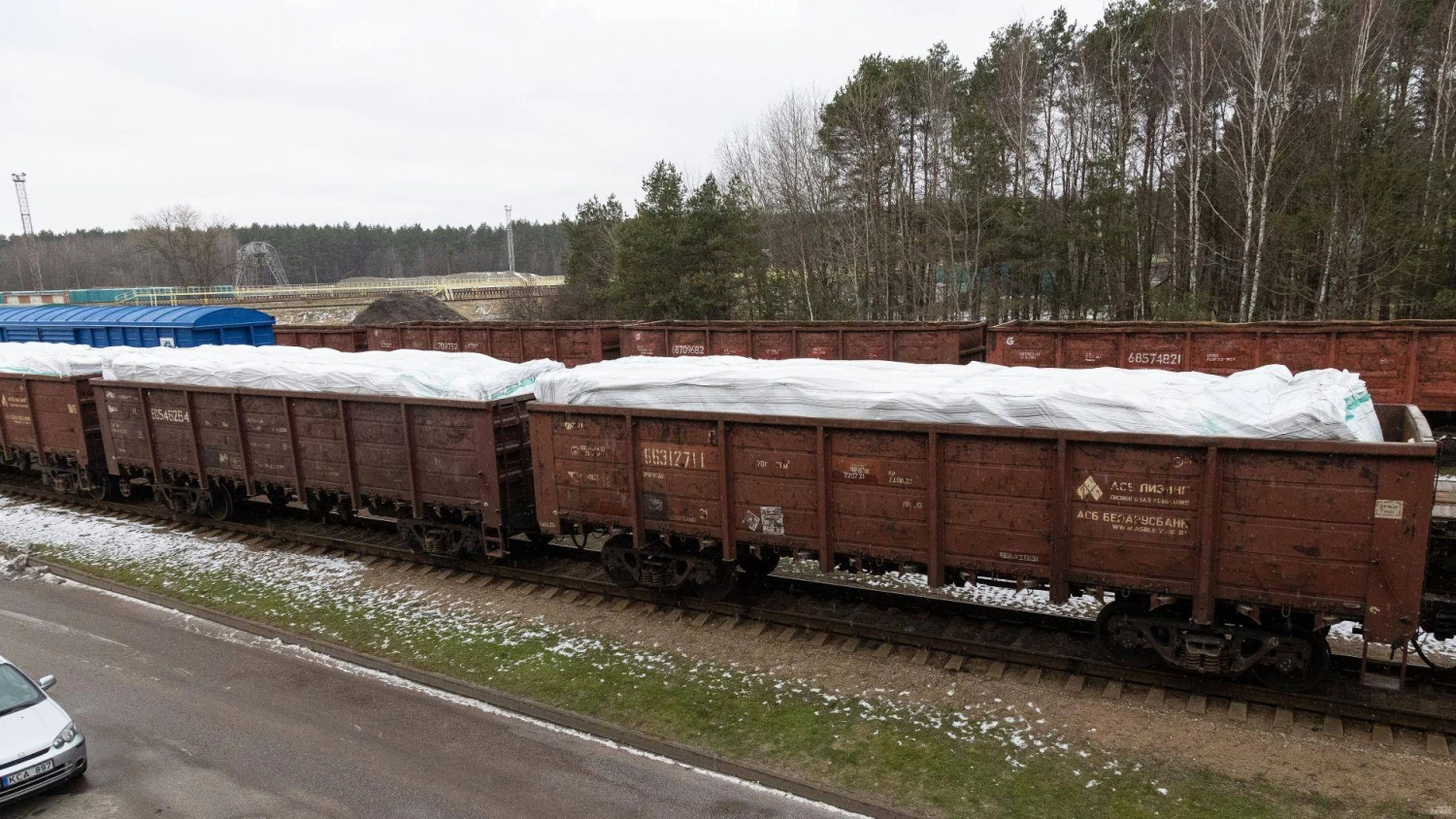 Vladimiro Ivanovo (VŽ) nuotr.