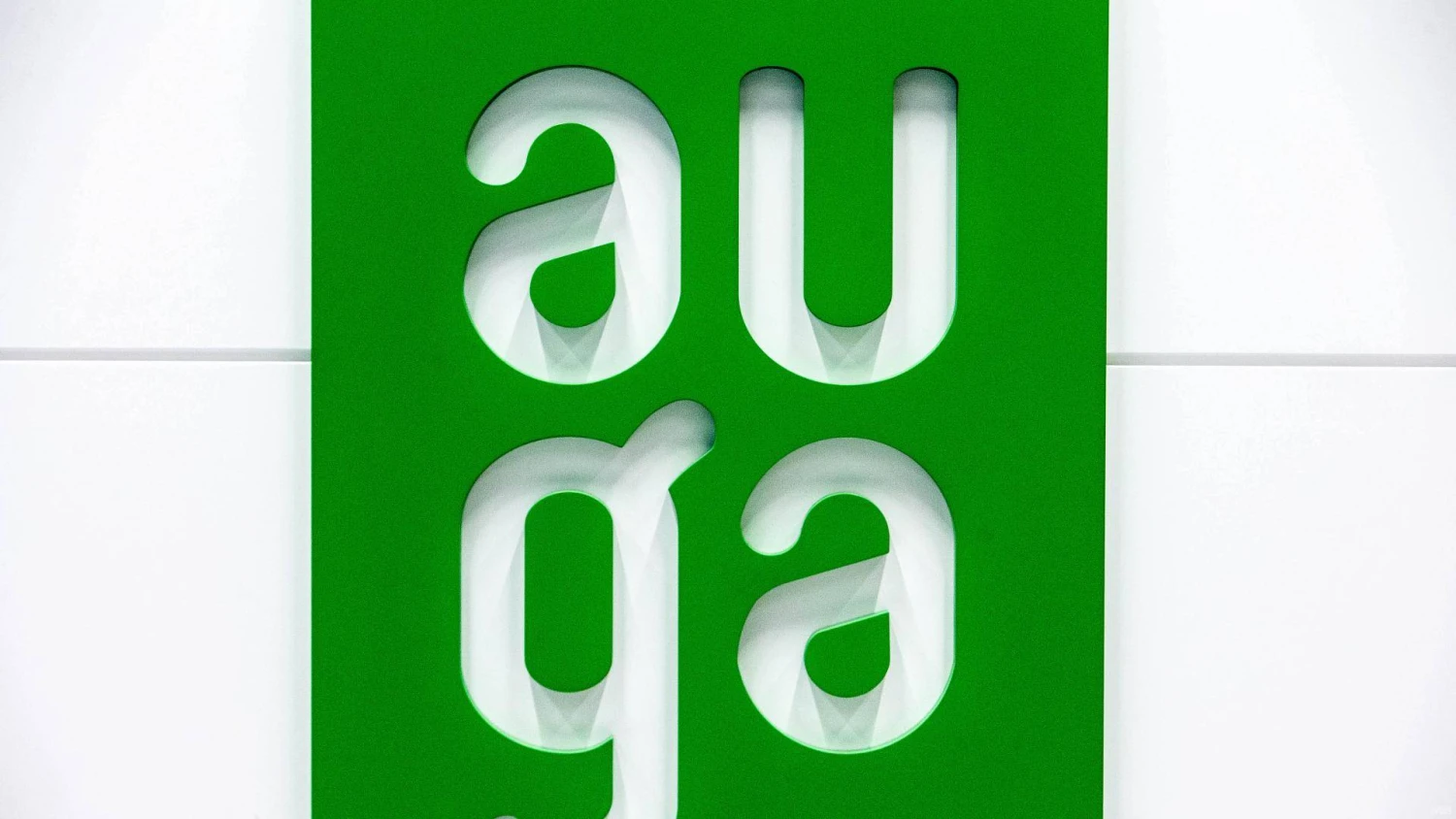 Juditos Grigelytės (VŽ) nuotr.