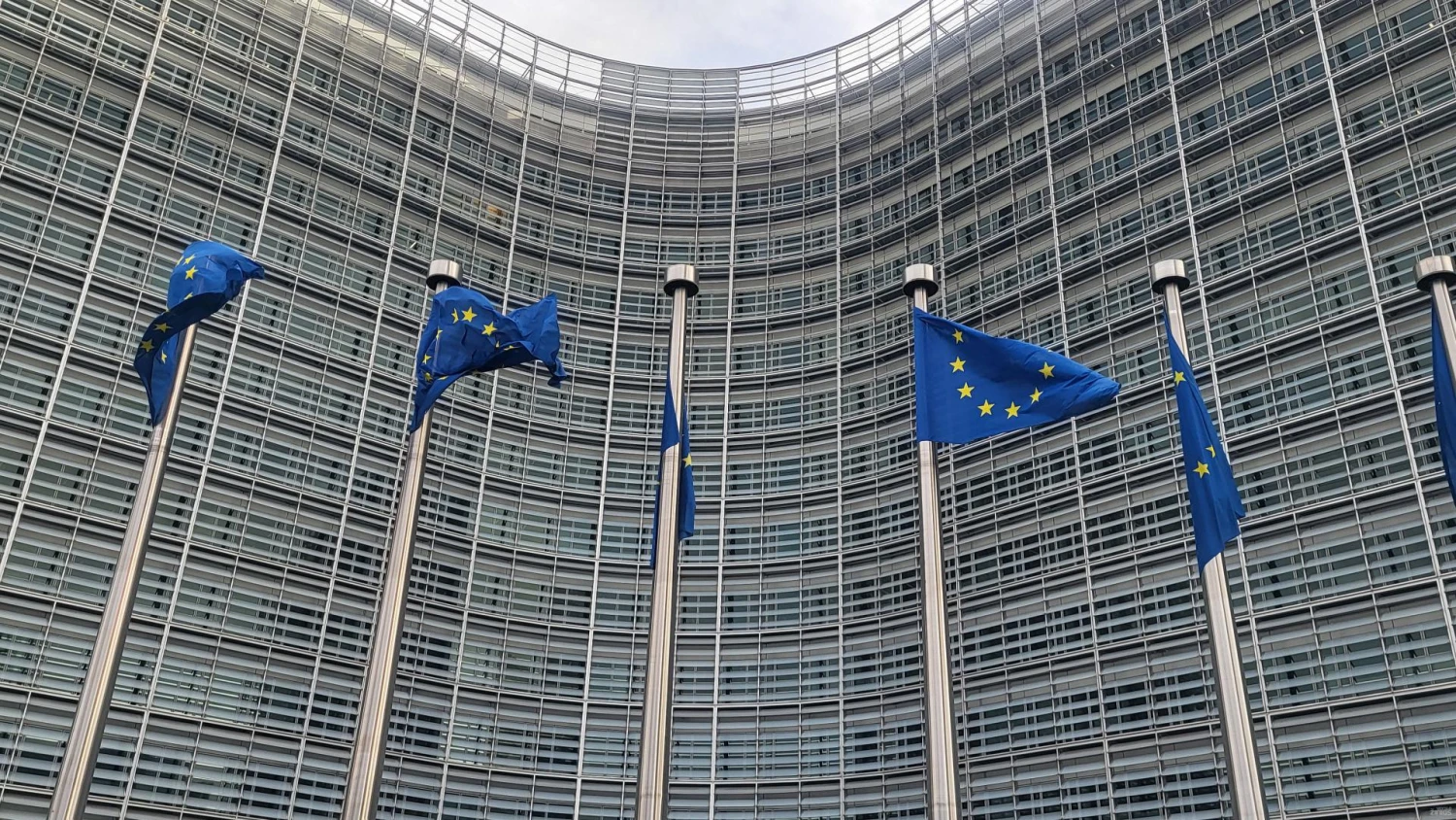 Europos Parlamento ir jo frakcijų neeilinė EP plenarinė sesiją. EP nuotr.. Vladimiro Ivanovo (VŽ) nuotr.